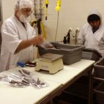 Jerky Manufacturing